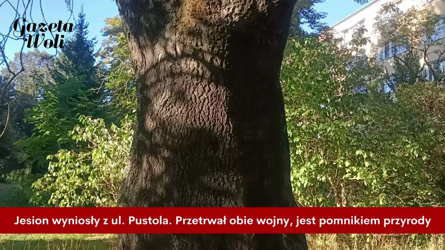 znamy-recepture-najlepszego-wolskiego-fit-paczka-2.mp4